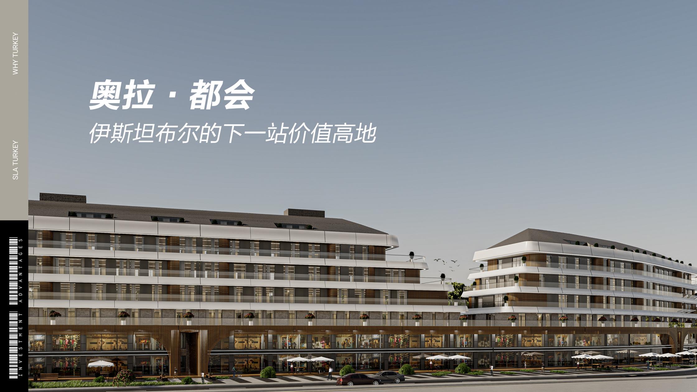 奥拉・都会·土耳其伊斯坦布尔