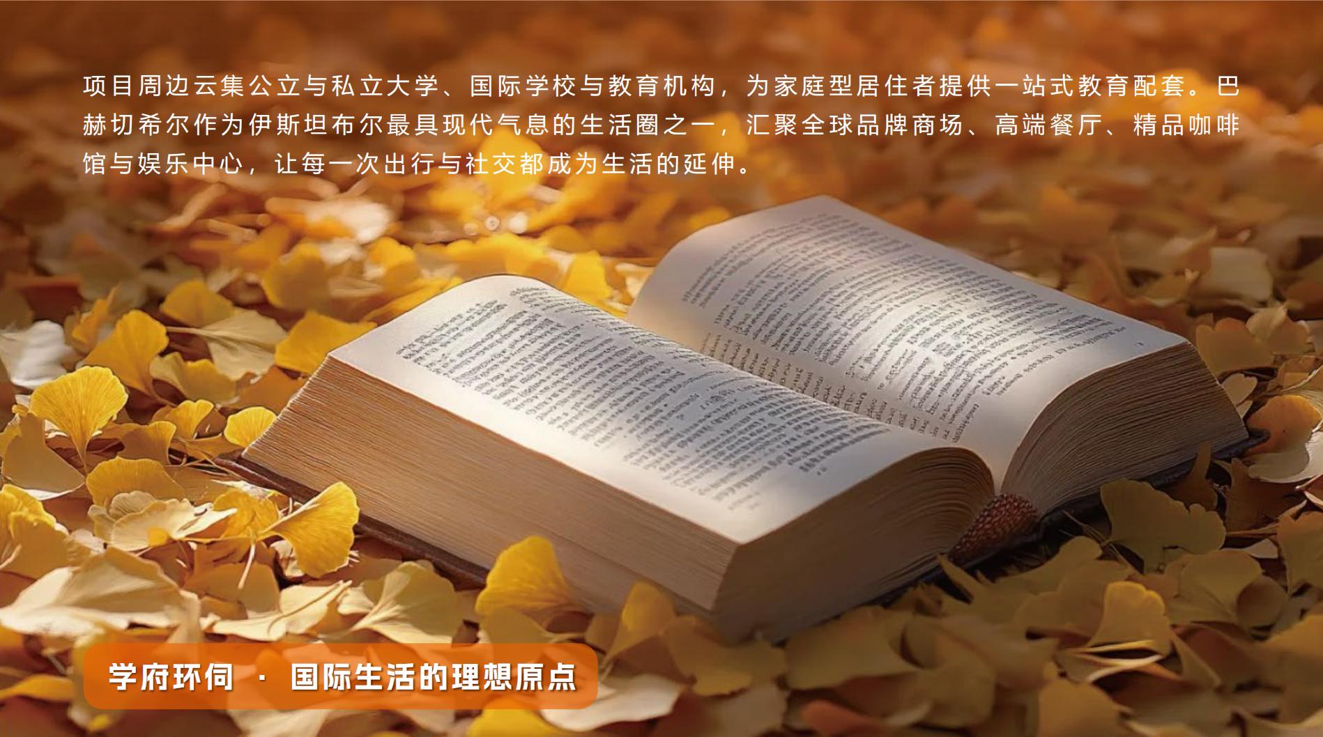 CBD 国际学府·土耳其伊斯坦布尔 实景图 3
