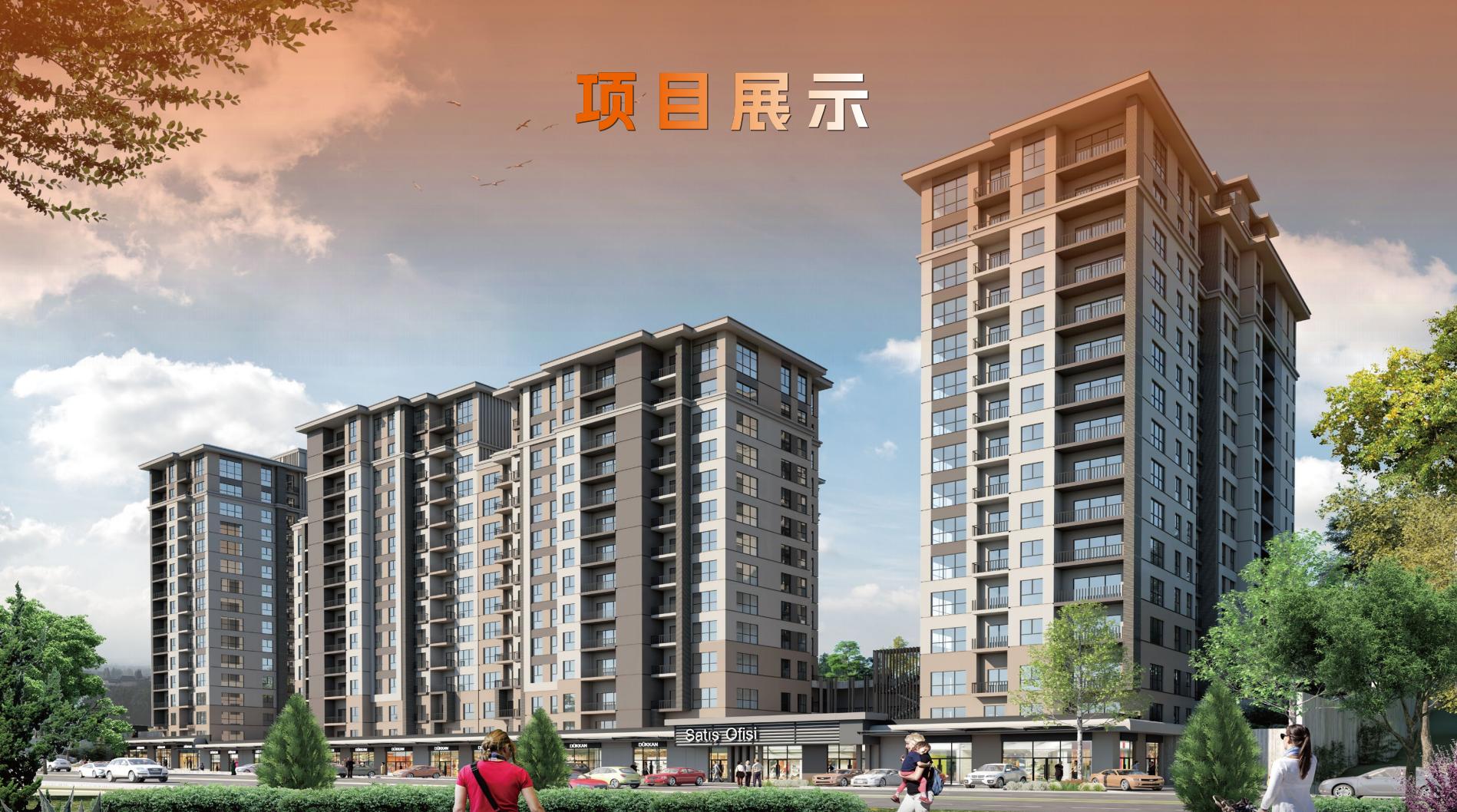 CBD 国际学府·土耳其伊斯坦布尔 实景图 5
