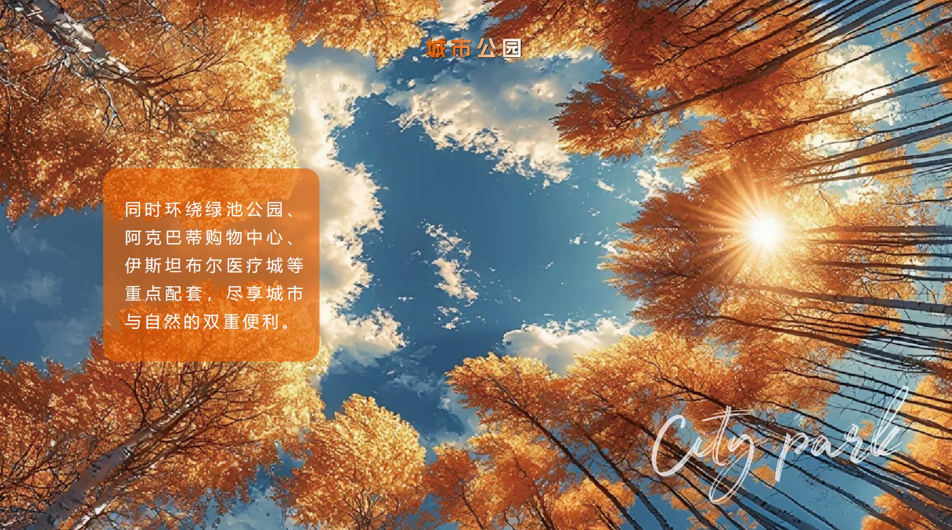 CBD 国际学府·土耳其伊斯坦布尔 实景图 4