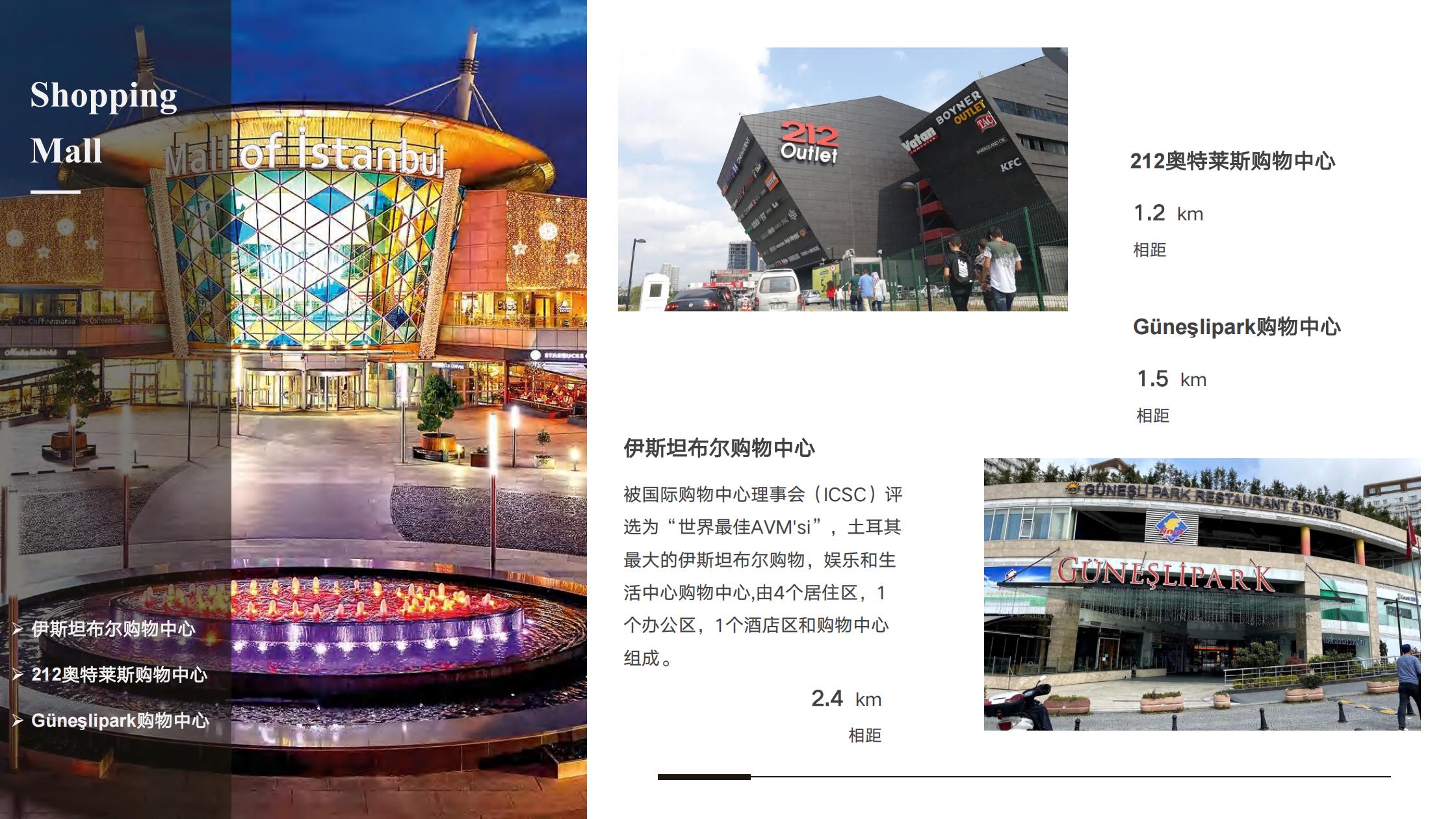 伊城阳光花园·土耳其伊斯坦布尔 实景图 6