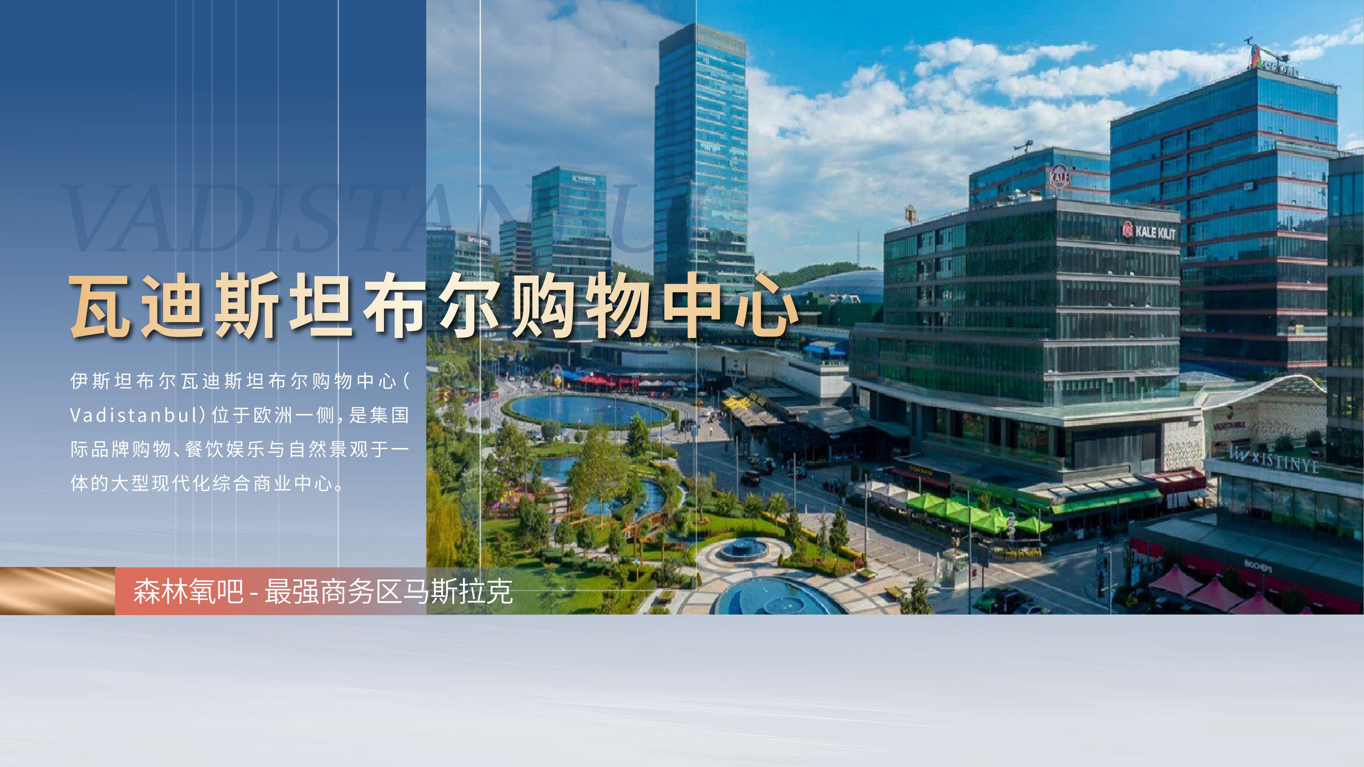 马斯拉克天际·土耳其伊斯坦布尔 实景图 4