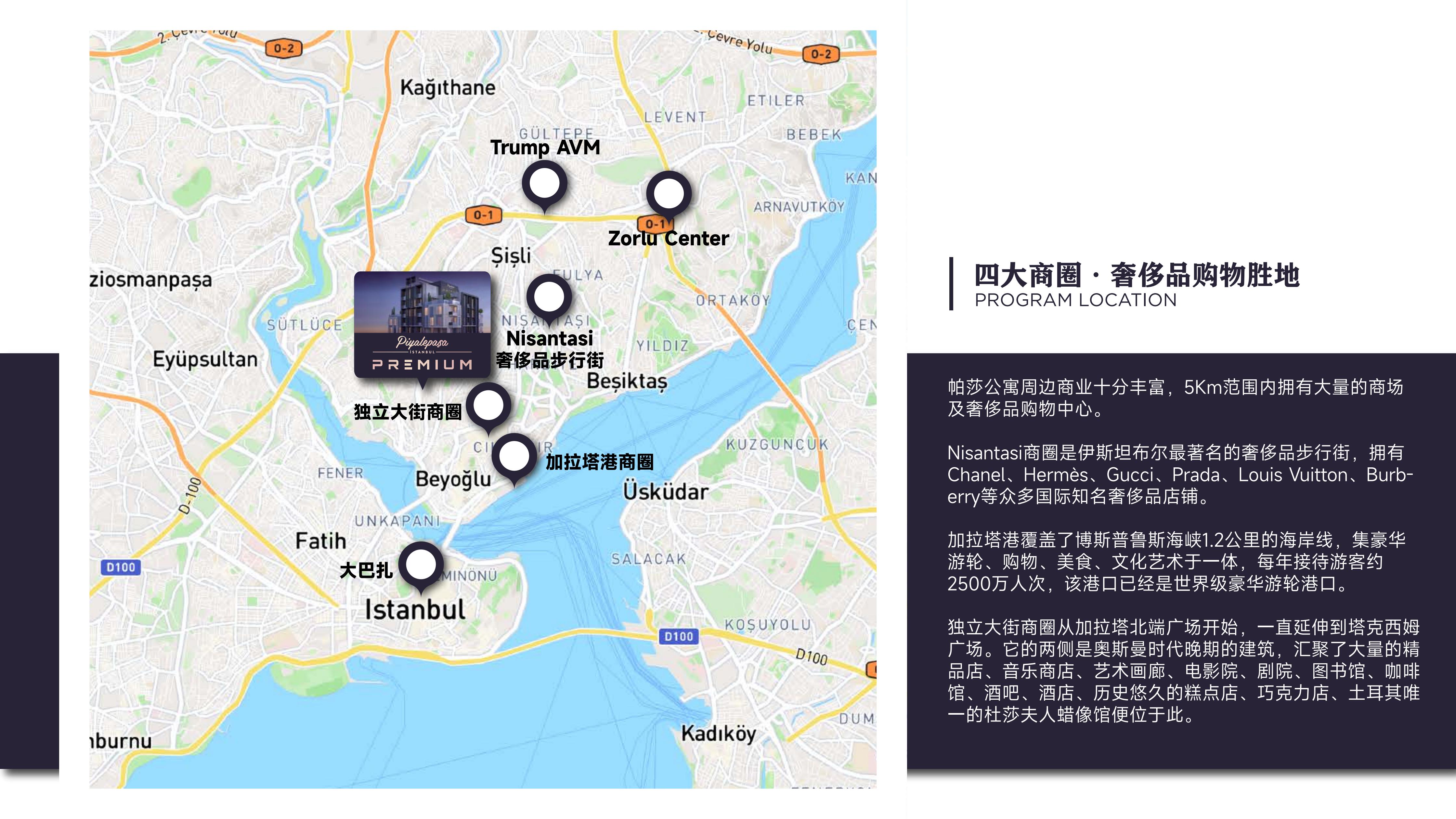 帕莎公寓（Premium）·土耳其伊斯坦布尔 实景图 9