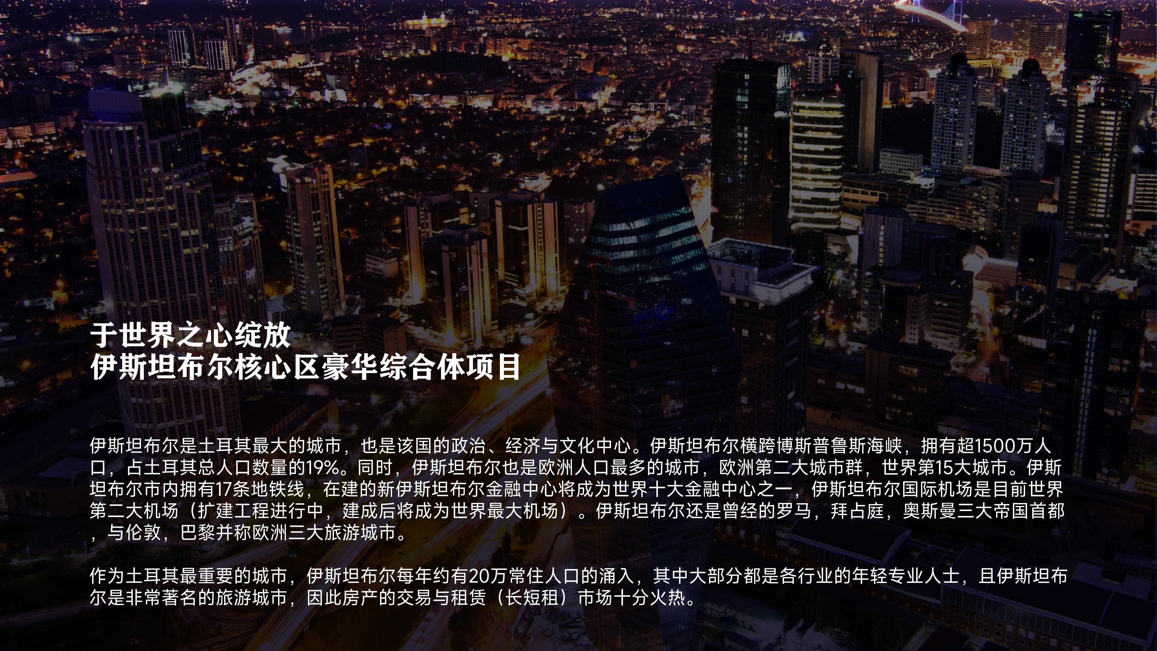 帕莎公寓（Premium）·土耳其伊斯坦布尔 实景图 3