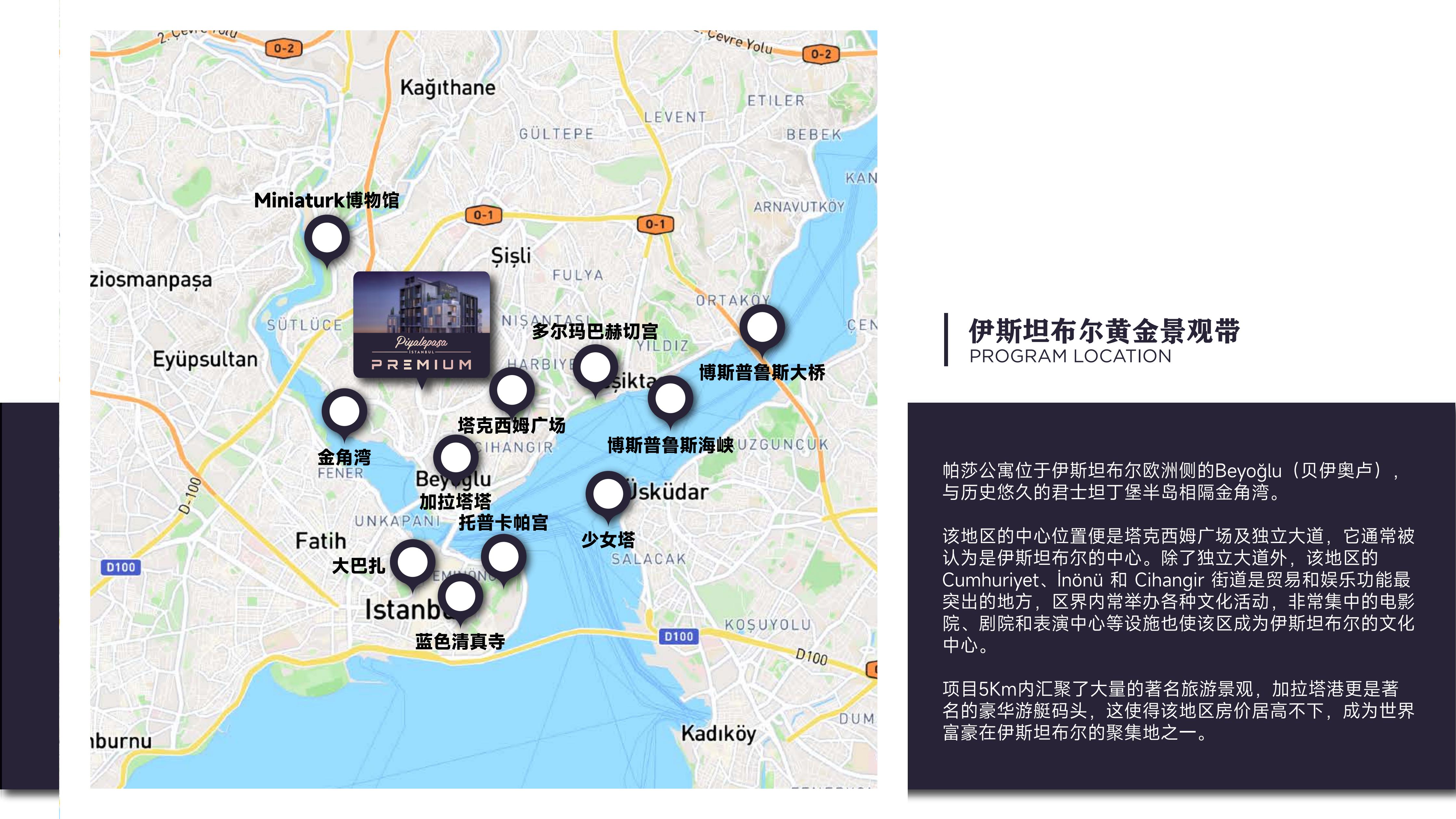 帕莎公寓（Premium）·土耳其伊斯坦布尔 实景图 4