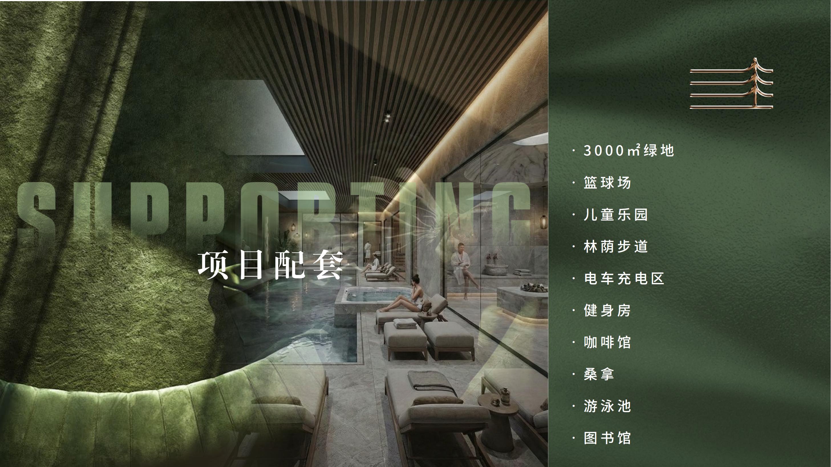 赛薇花园 3 期·土耳其伊斯坦布尔 实景图 2